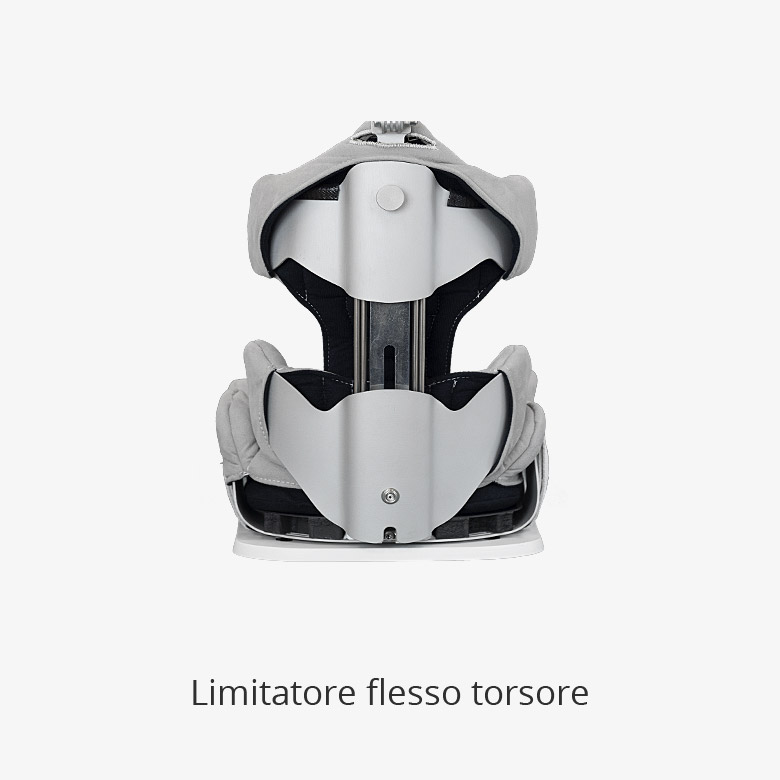 limitatore flesso torsore